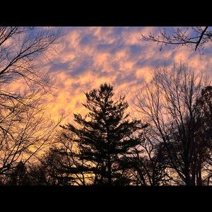 Meet your Posher, Alison